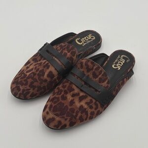 Circus by Sam Edelman Animal Print Paulie Mules